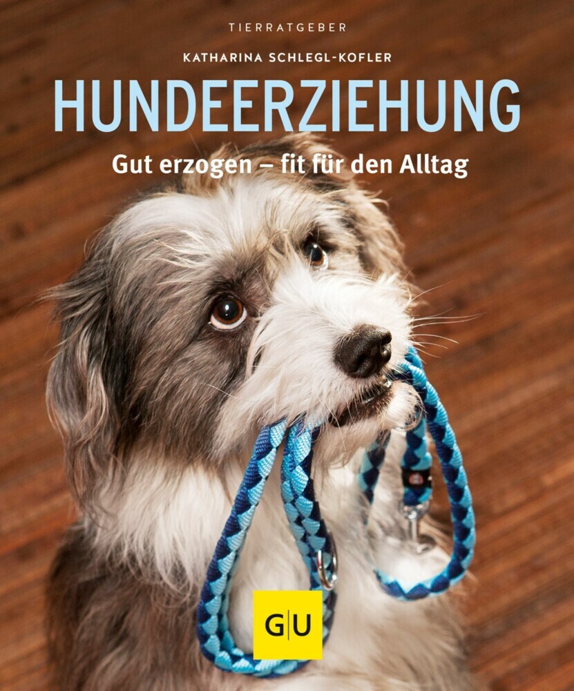 Hundeerziehung main product photo