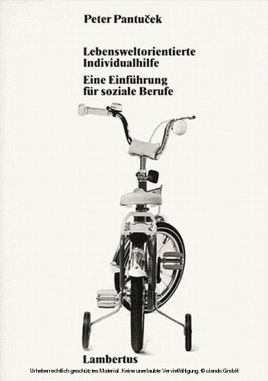 Lebensweltorientierte Individualhilfe main product photo