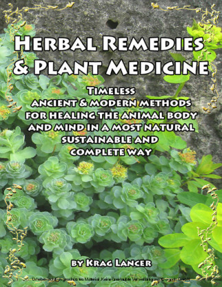 Herbal Remedies & Plant Medicine