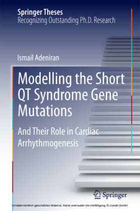 Modelling the Short QT Syndrome Gene Mutations