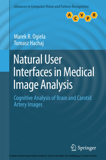 Natural User Interfaces in Medical Image Analysis main product photo