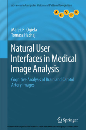 Natural User Interfaces in Medical Image Analysis