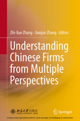 Understanding Chinese Firms from Multiple Perspectives
