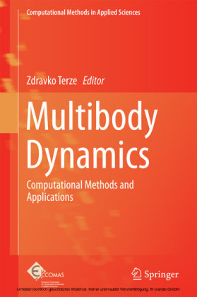 Multibody Dynamics