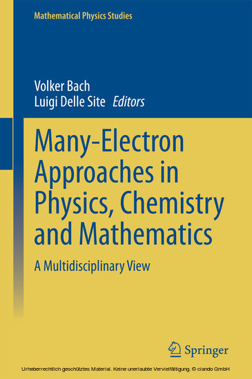 Many-Electron Approaches in Physics, Chemistry and Mathematics main product photo