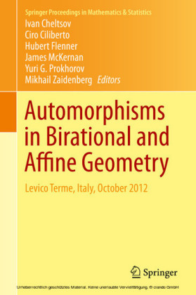 Automorphisms in Birational and Affine Geometry
