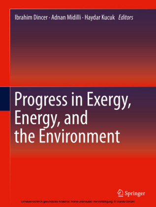 Progress in Exergy, Energy, and the Environment