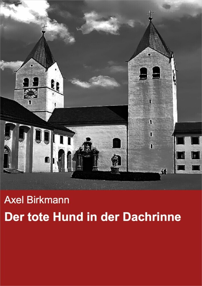 Der tote Hund in der Dachrinne main product photo