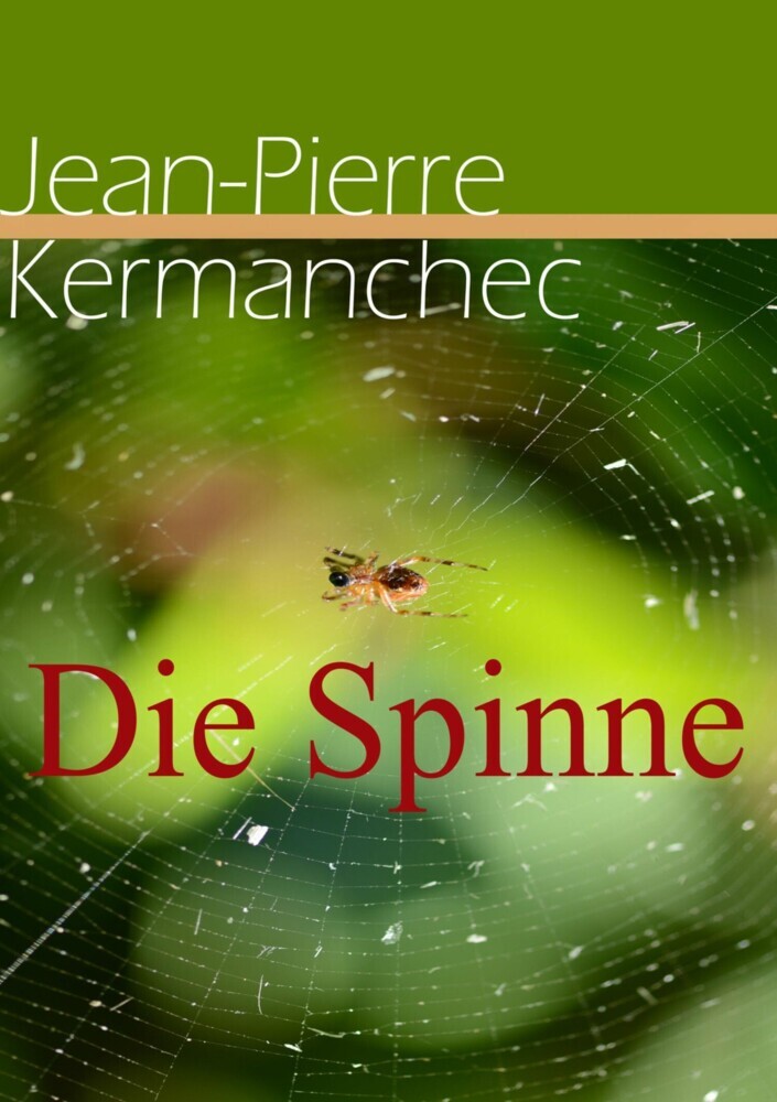 Die Spinne main product photo