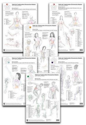 Tafeln der Traditionellen Chinesischen Medizin, 6 Tafeln