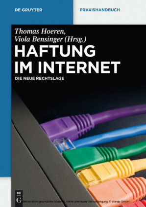 Haftung im Internet