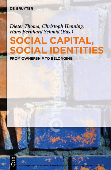 Social Capital, Social Identities main product photo