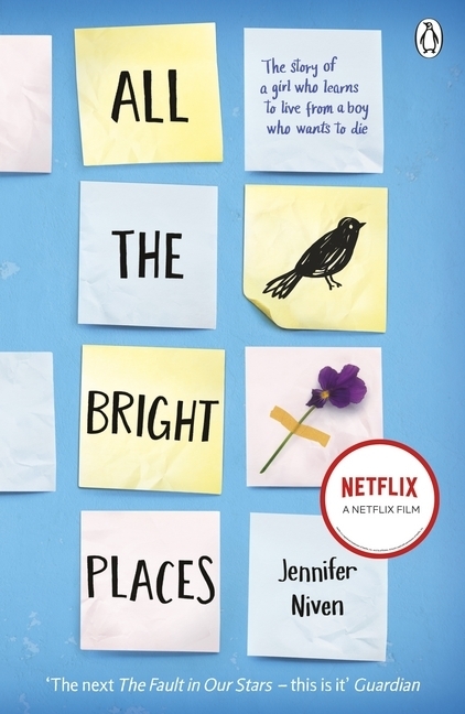 All the Bright Places main product photo