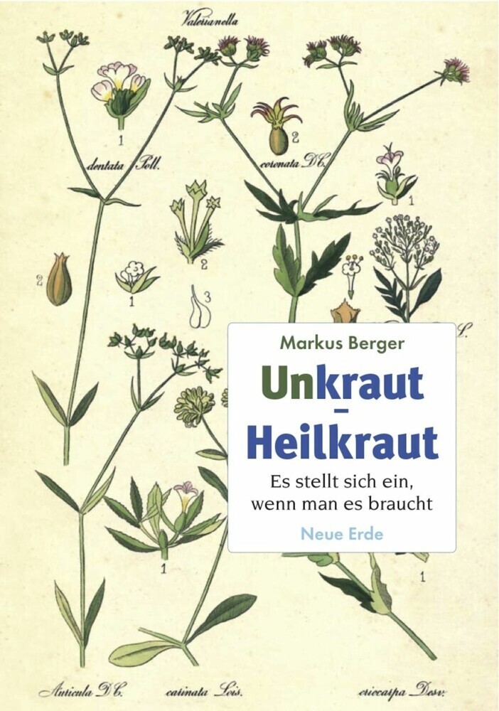 Unkraut - Heilkraut main product photo