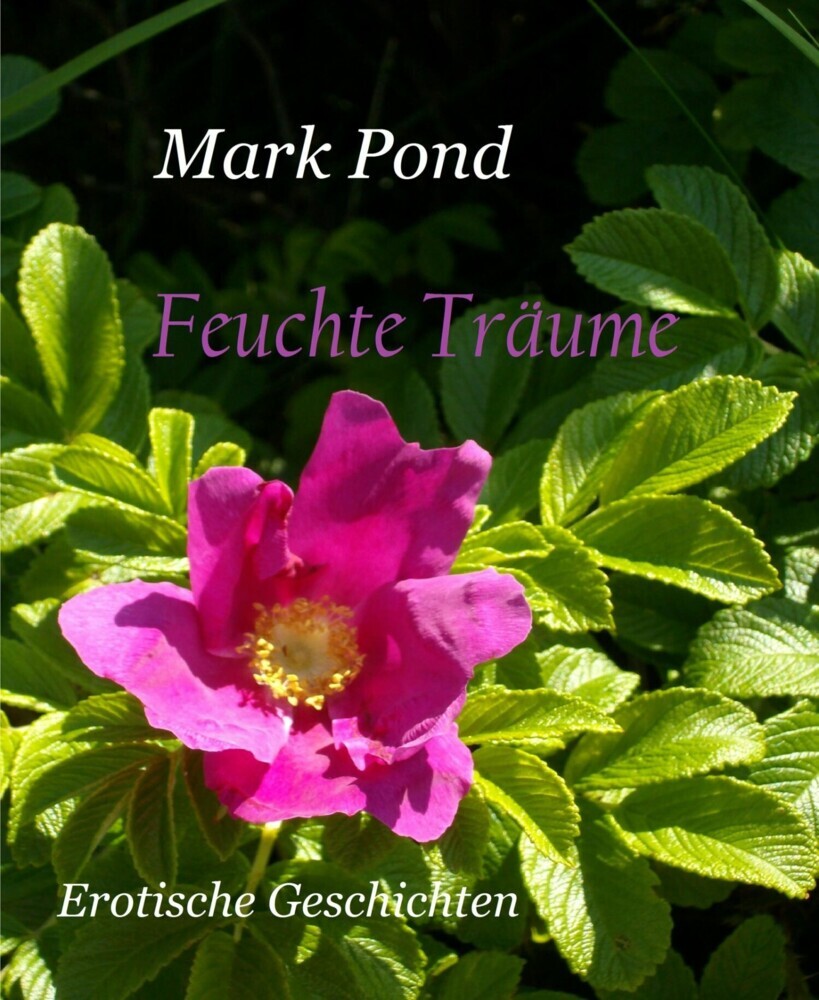 Feuchte Träume main product photo