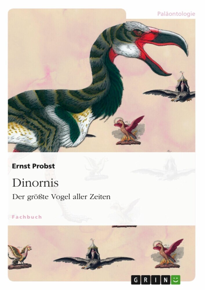 Dinornis main product photo