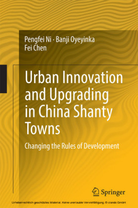 Urban Innovation and Upgrading in China Shanty Towns