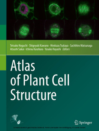 Atlas of Plant Cell Structure