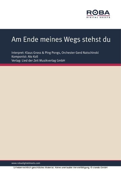Am Ende meines Wegs stehst du main product photo