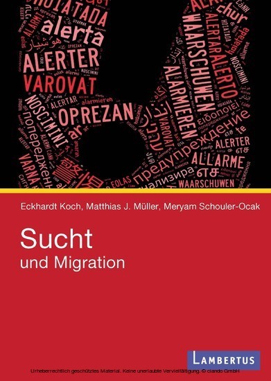 Sucht und Migration main product photo