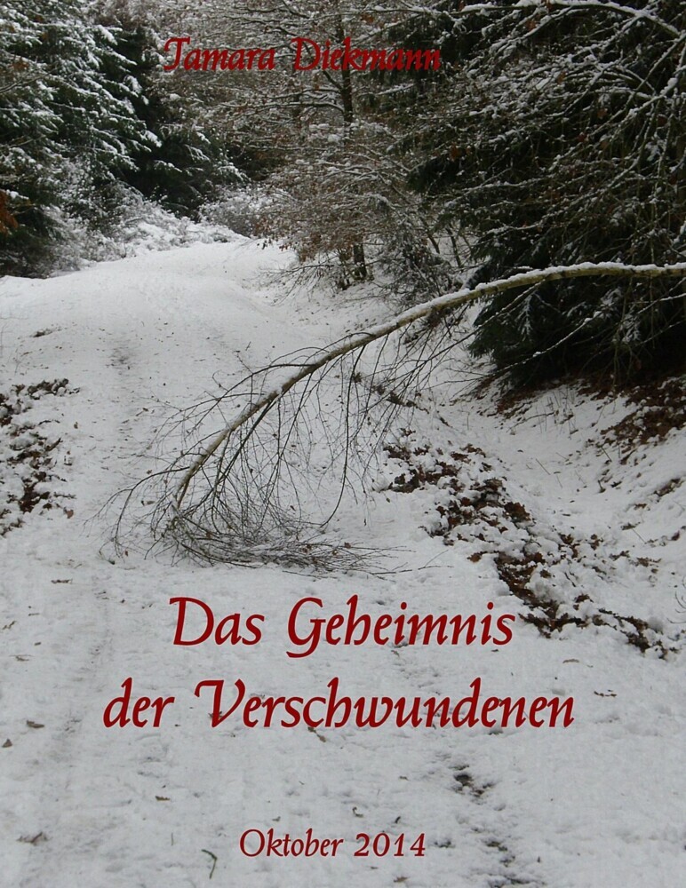 Das Geheimnis der Verschwundenen main product photo