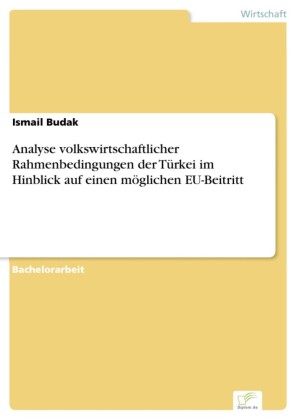 Analyse volkswirtschaftlicher Rahmenbedingungen der Türkei im Hinblick auf einen möglichen EU-Beitritt