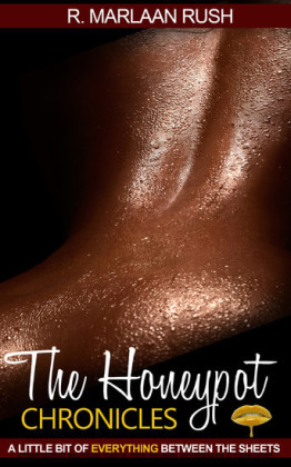 The Honeypot Chronicles