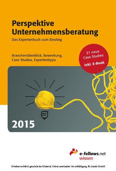 Perspektive Unternehmensberatung 2015 main product photo