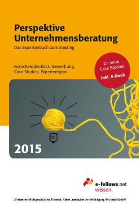 Perspektive Unternehmensberatung 2015