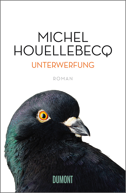 Unterwerfung main product photo