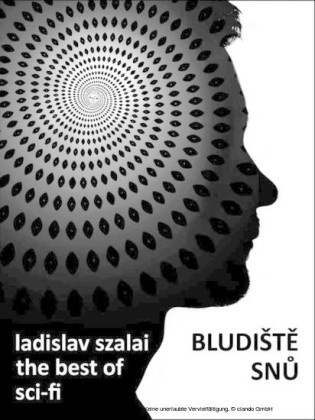 Bludiste snu