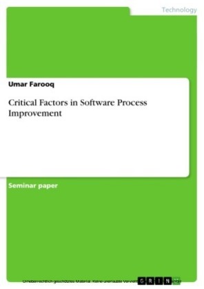 Critical Factors in Software Process Improvement