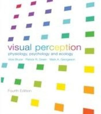 VISUAL PERCEPTION ED4