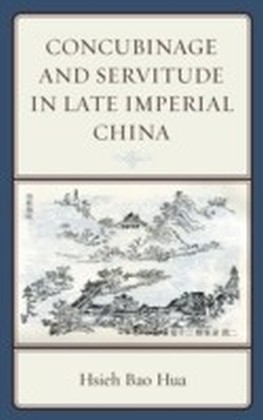 Concubinage and Servitude in Late Imperial China