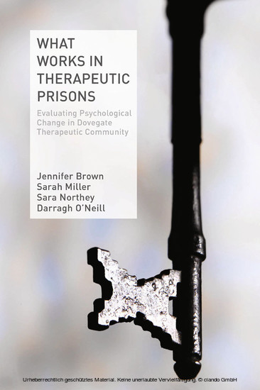 What Works in Therapeutic Prisons main product photo