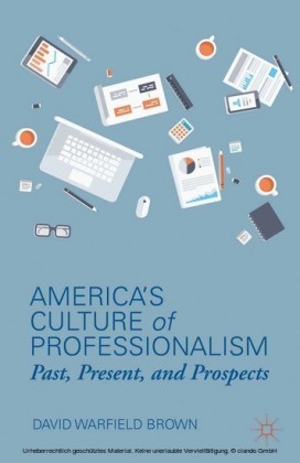 America's Culture of Professionalism