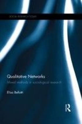 Qualitative Networks