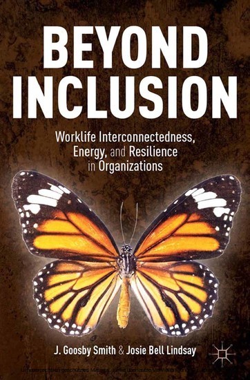 Beyond Inclusion main product photo
