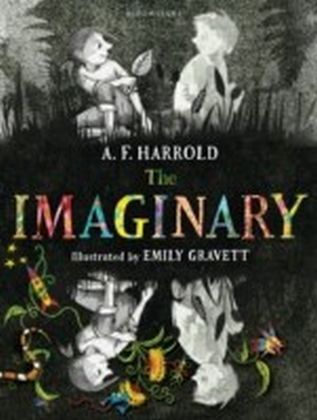 Imaginary