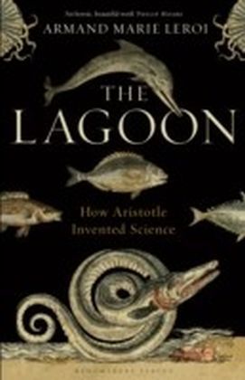 Lagoon