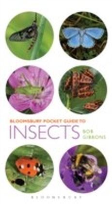 Pocket Guide to Insects