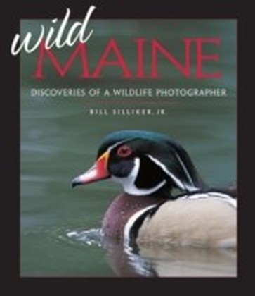 Wild Maine main product photo