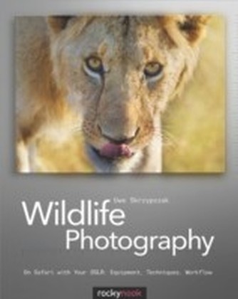 Wildlife Photography