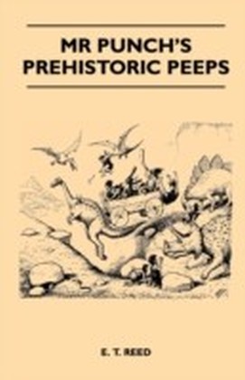 Mr Punch's Prehistoric Peeps main product photo