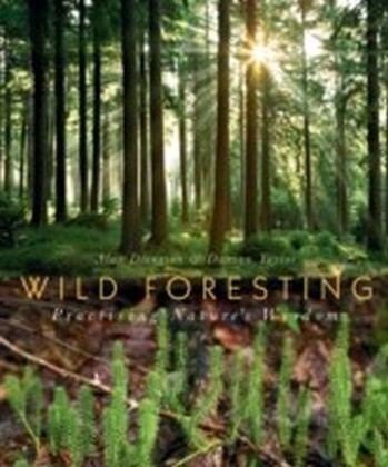Wild Foresting main product photo