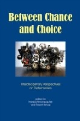 Between Chance and Choice