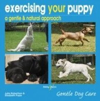 Exercising your puppy