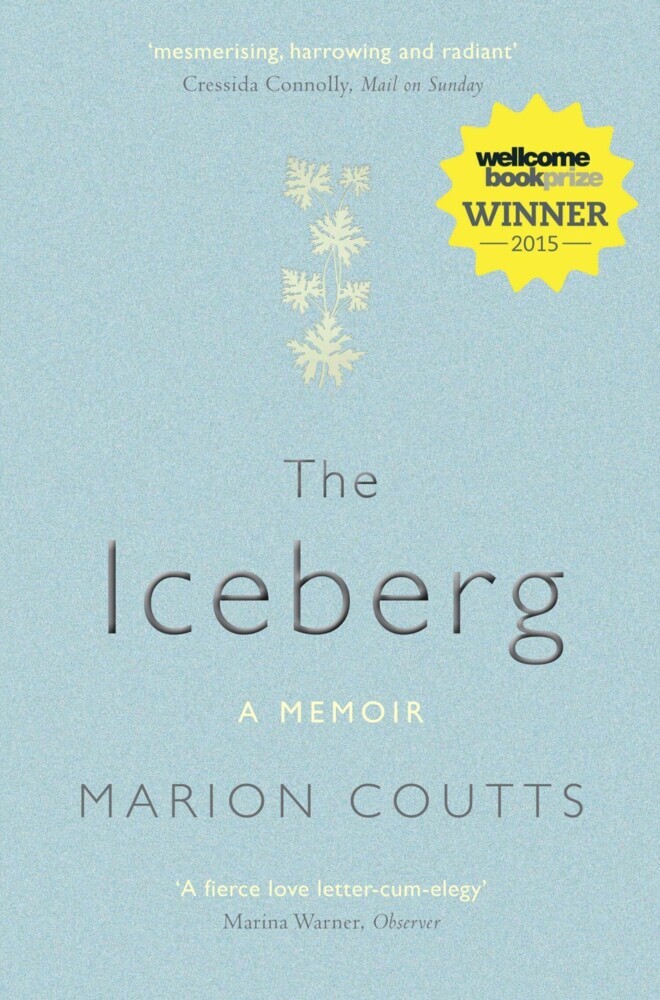 The Iceberg main product photo