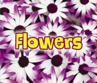 All About Flowers