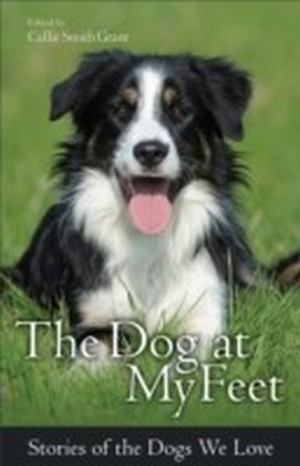 Dog at My Feet main product photo